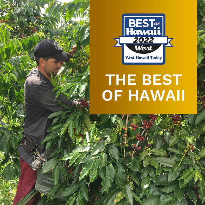 Celebrating Buddha's Cup: Second Place in West Hawaii's Best Coffee Growers