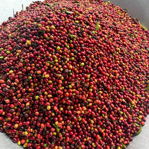 The New 51% Kona Coffee Law: A Major Win for Real Kona Coffee