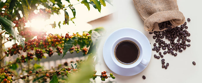 Why 100% Kona Coffee Is The Best