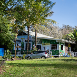 How to Prepare for a Kona Coffee Farm Tour