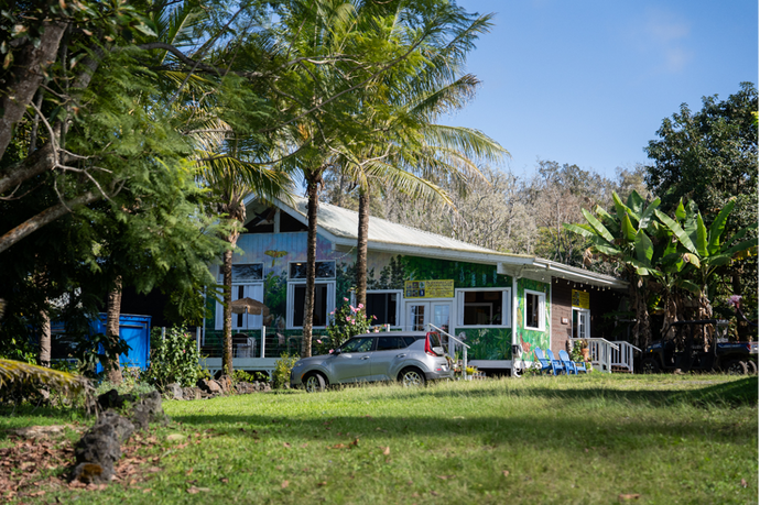 How to Prepare for a Kona Coffee Farm Tour