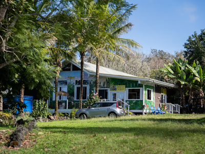 How to Prepare for a Kona Coffee Farm Tour