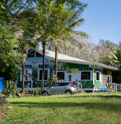 How to Prepare for a Kona Coffee Farm Tour