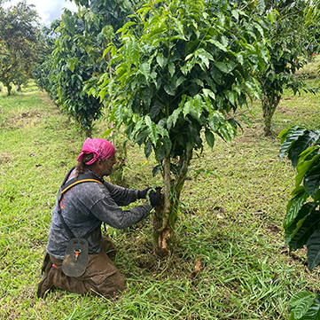 How Biodynamic Farming Supports the Farming Industry