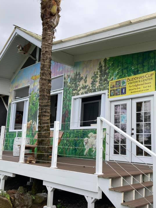 Parrotfish Adventures Visits Buddha’s Cup