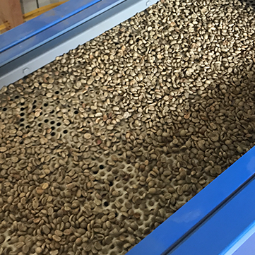 The Special Qualities of Kona Coffee Explained by Buddha's Cup