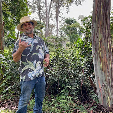 How Climate Change is Affecting Kona Coffee Production - Buddha’s Cup