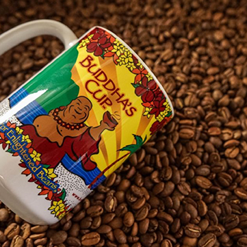 Decaf Process Explained: The CO2 Method - Buddha's Cup
