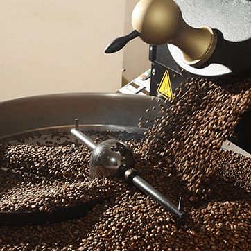 What is the Difference Between Coffee Roasters and Coffee Farms?