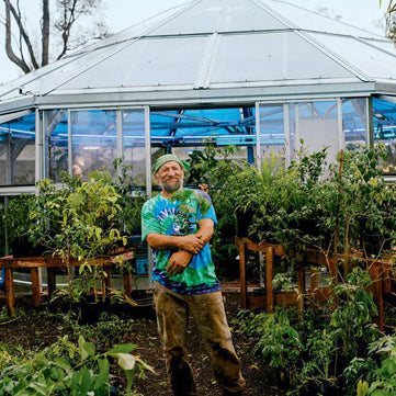 Experience Coffee Tourism at Buddha's Cup Farm in Kona