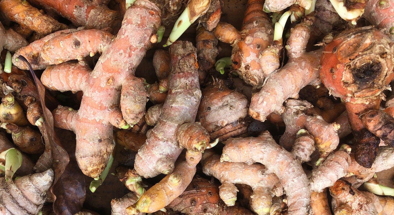 Dehydrated Hawaiian Turmeric Powder