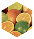 CITRUS